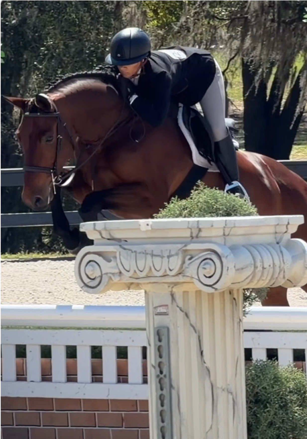@Sydney | 🐴🏡