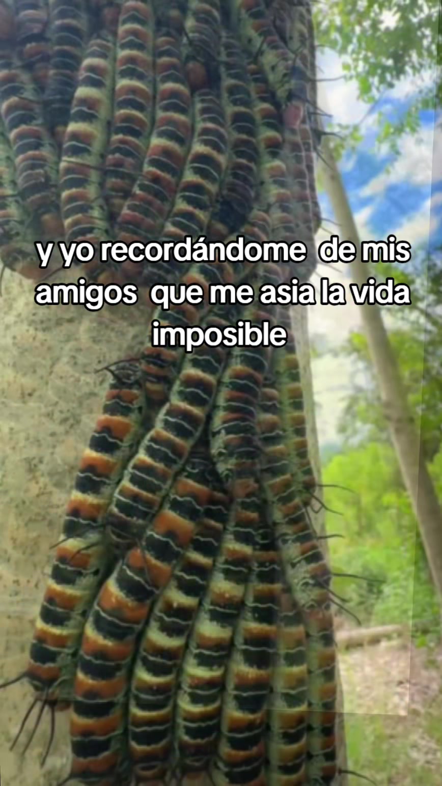 @MARiA Jose AlV&Ntilde;O