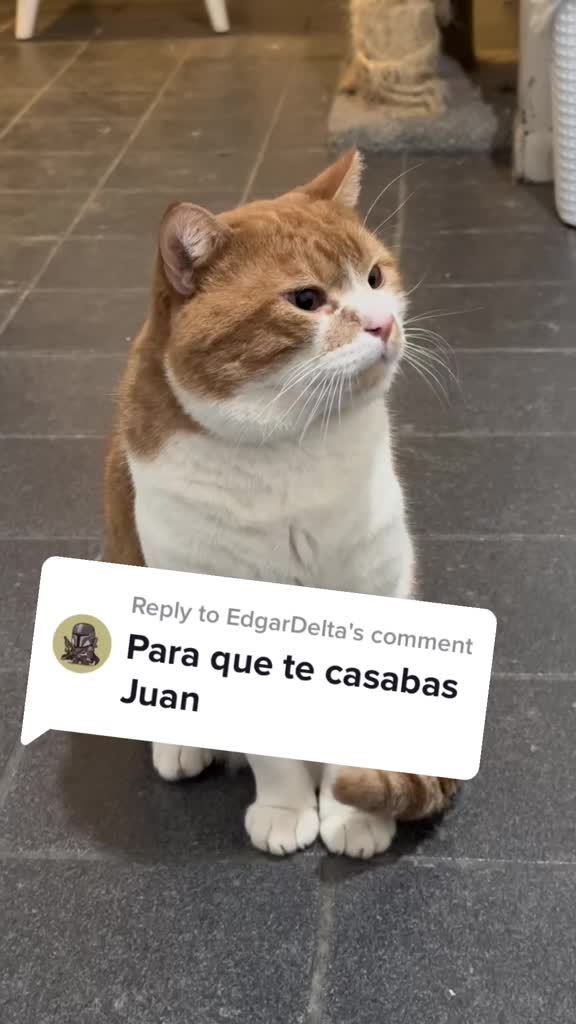 @Chef Nery