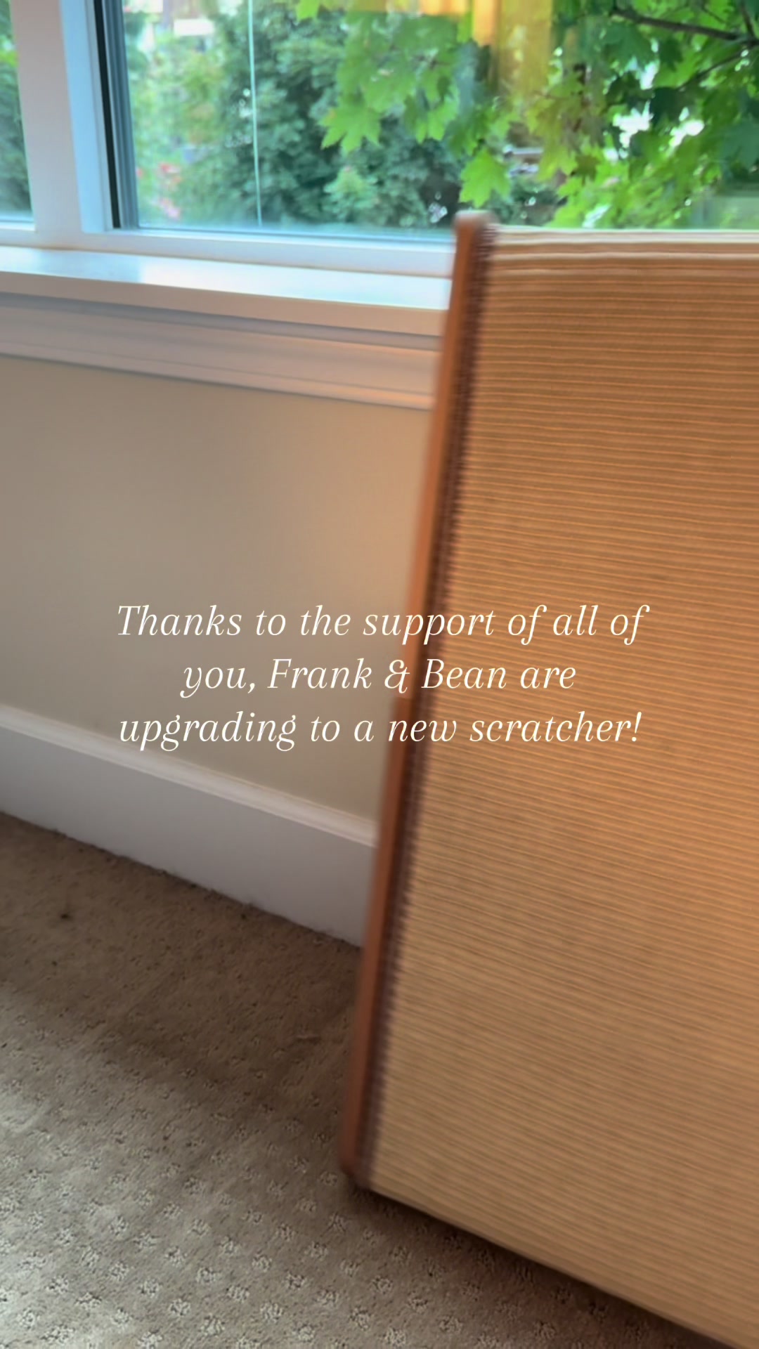 @Frank & Bean