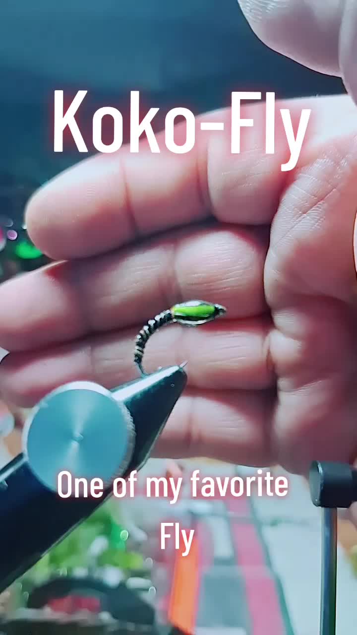 @KOKO-FLY