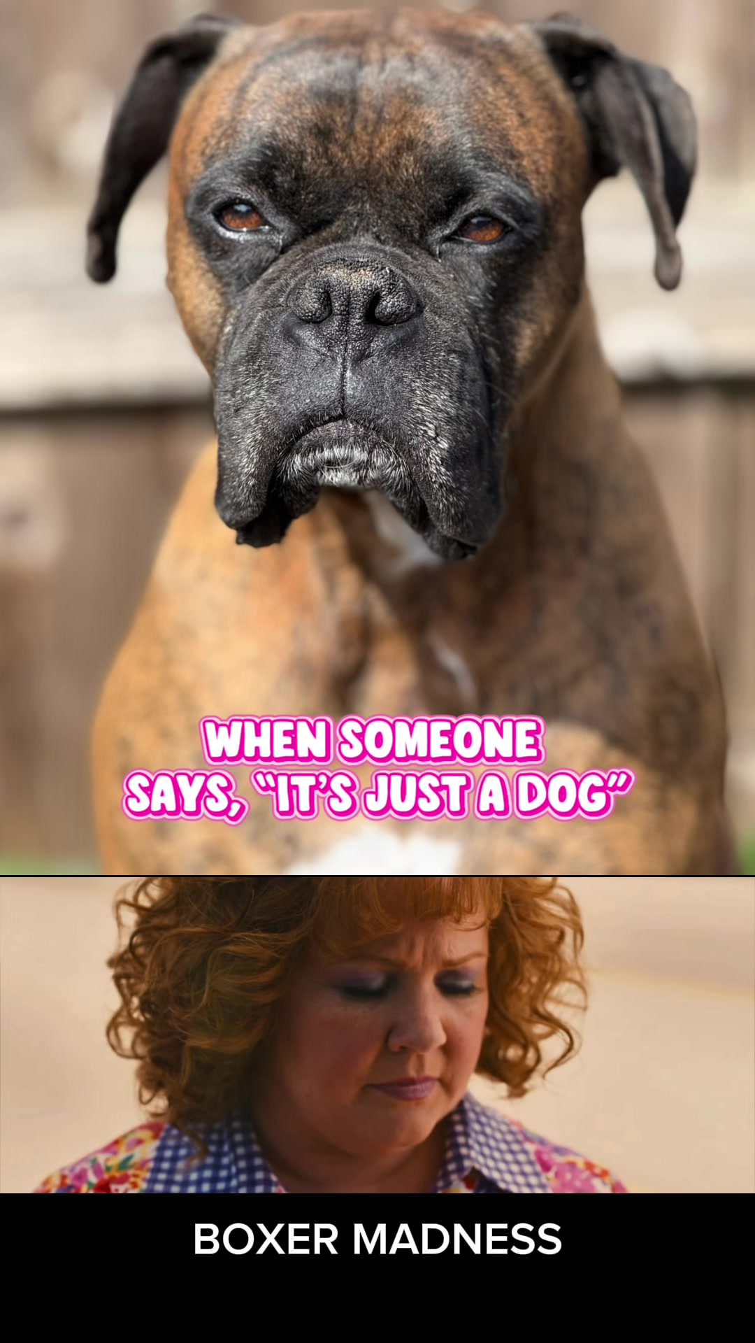 @boxermadness