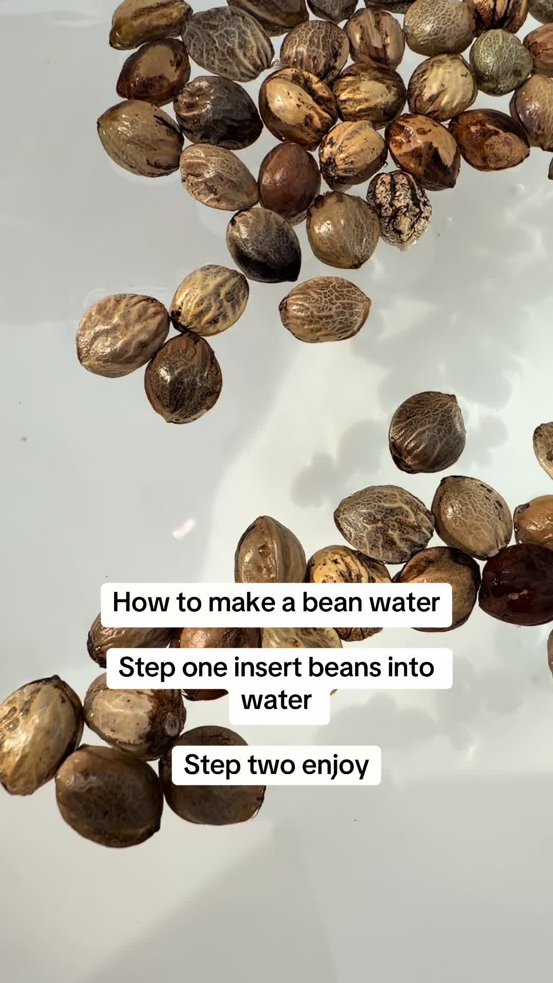 @SEEDTIVA