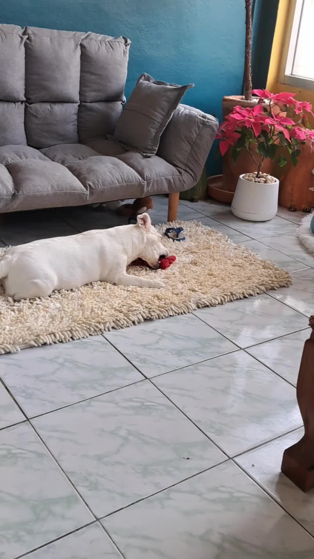 @ig.eurosaurus 🇹🇭
