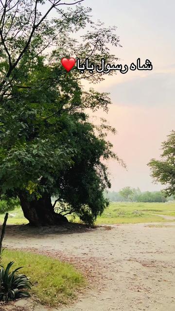 @🤦🏻♂️🇸🇦ستری ژوند🇵🇰
