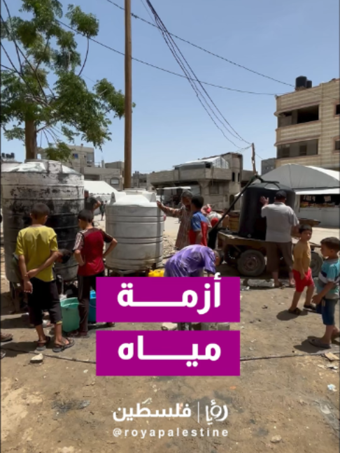 @Royapalestine رؤيا فلسطين