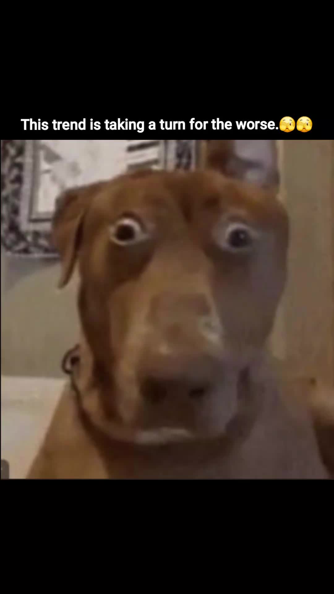 @Thugnificent