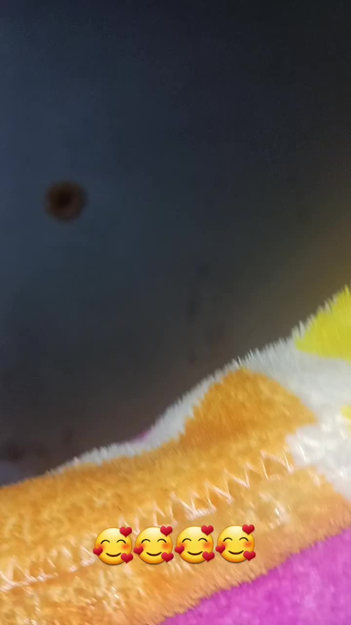 @genesis