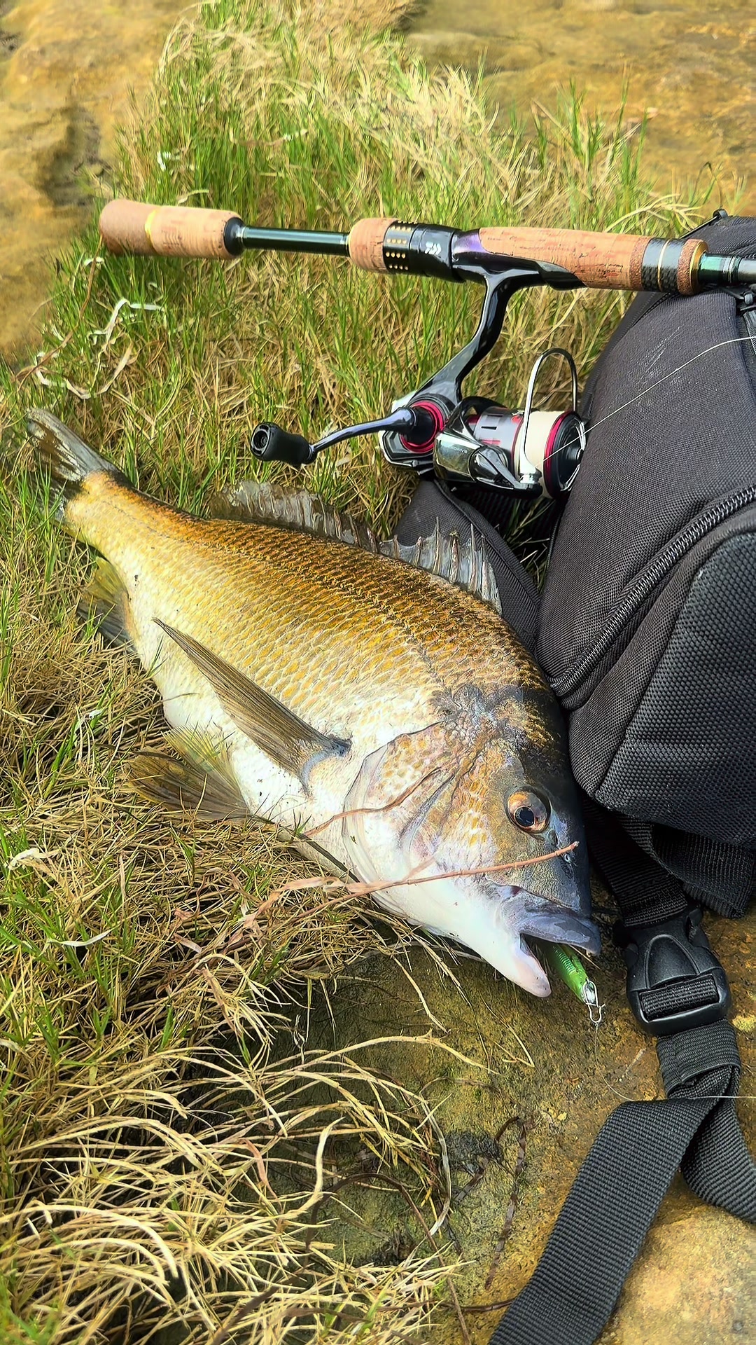 @fishing_southtas
