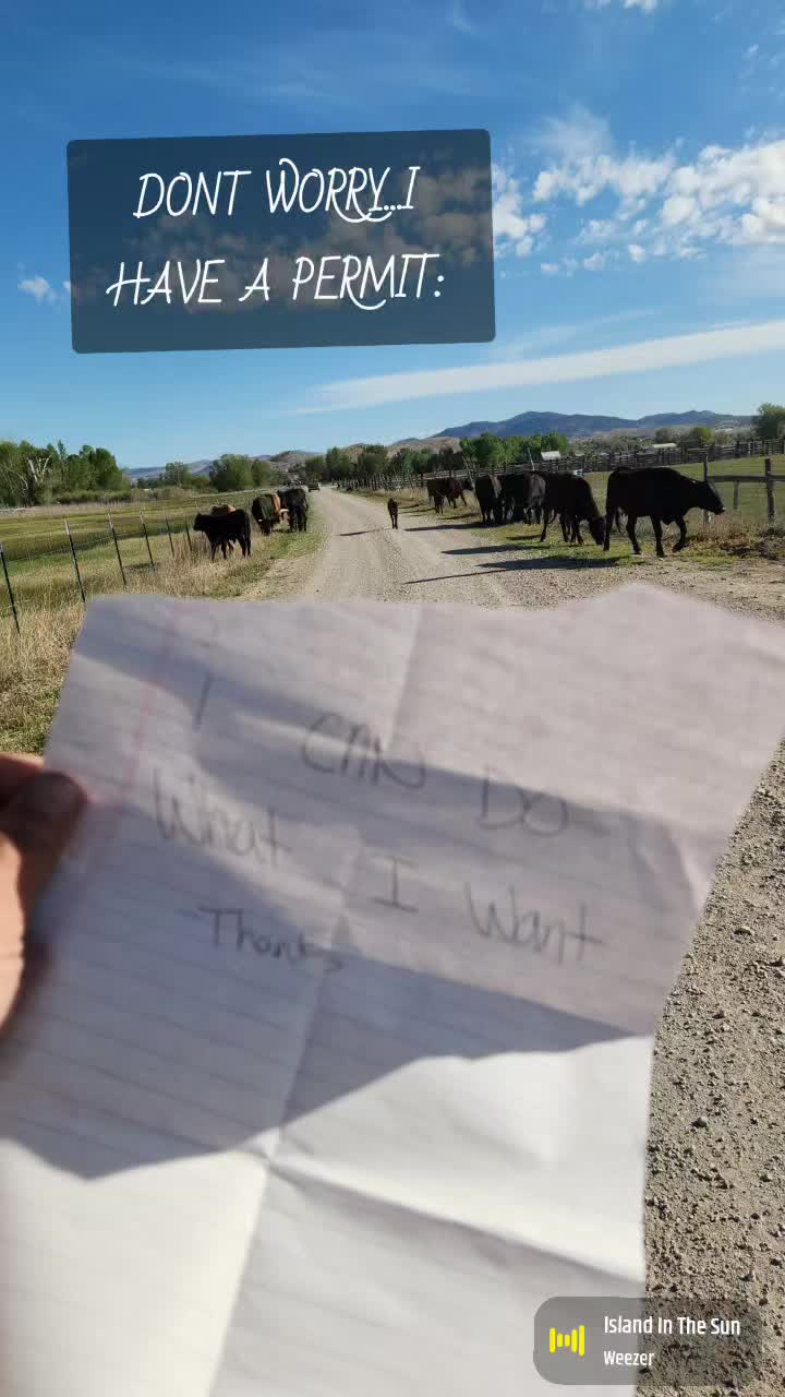 @Olsen Horse & Cattle Co. LLC