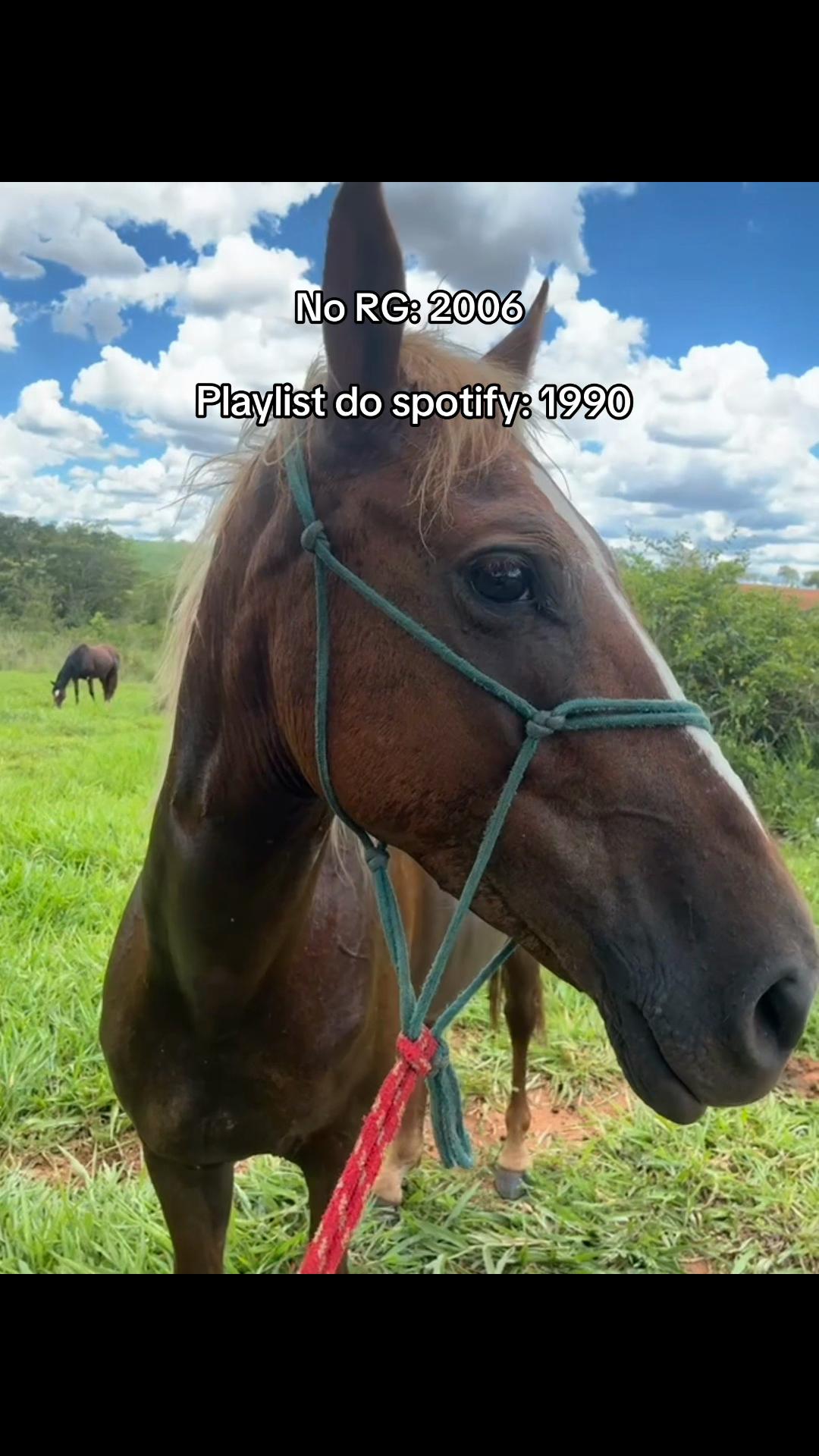 @Laís Correia