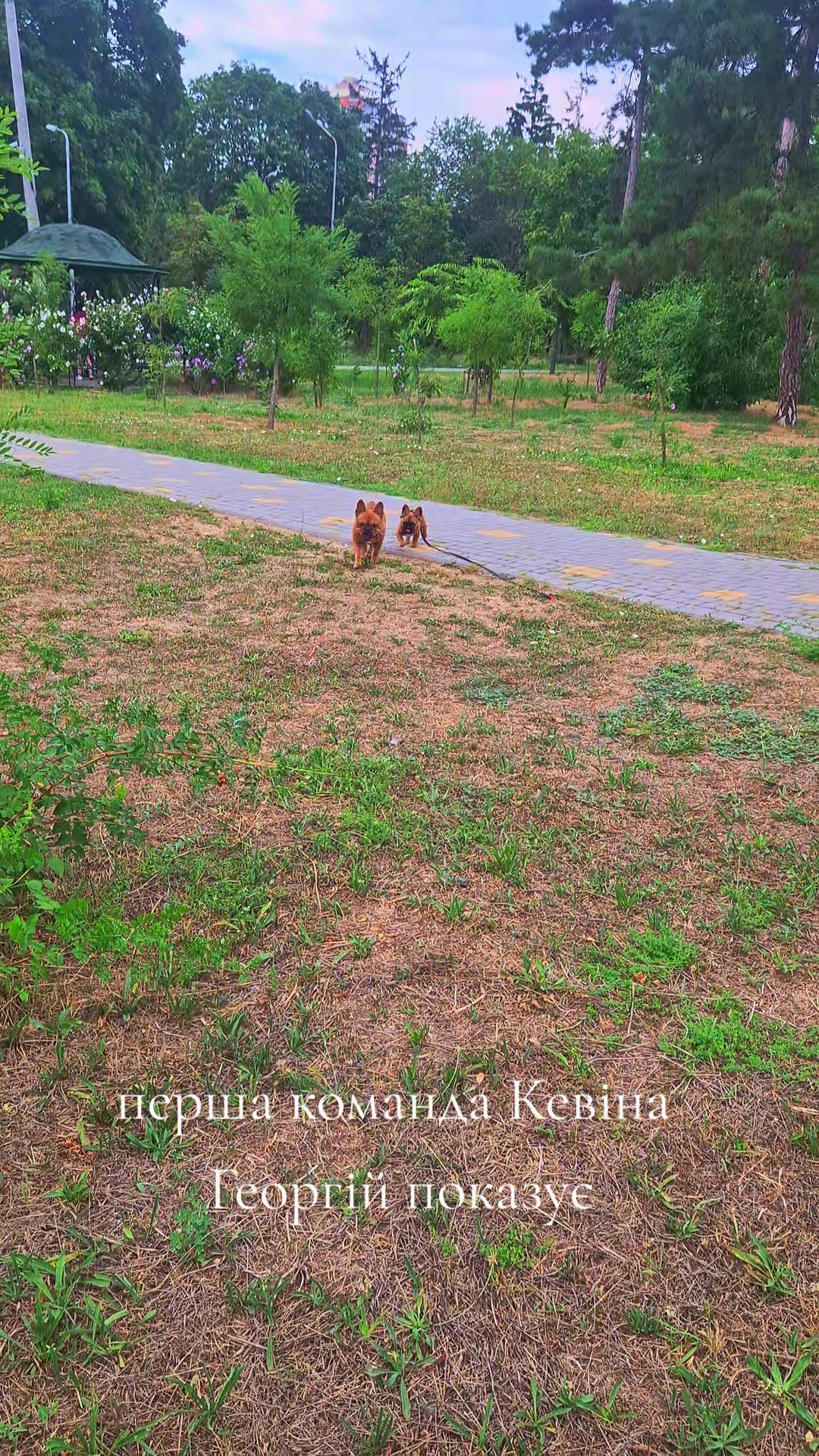 @Олена Ісаченко