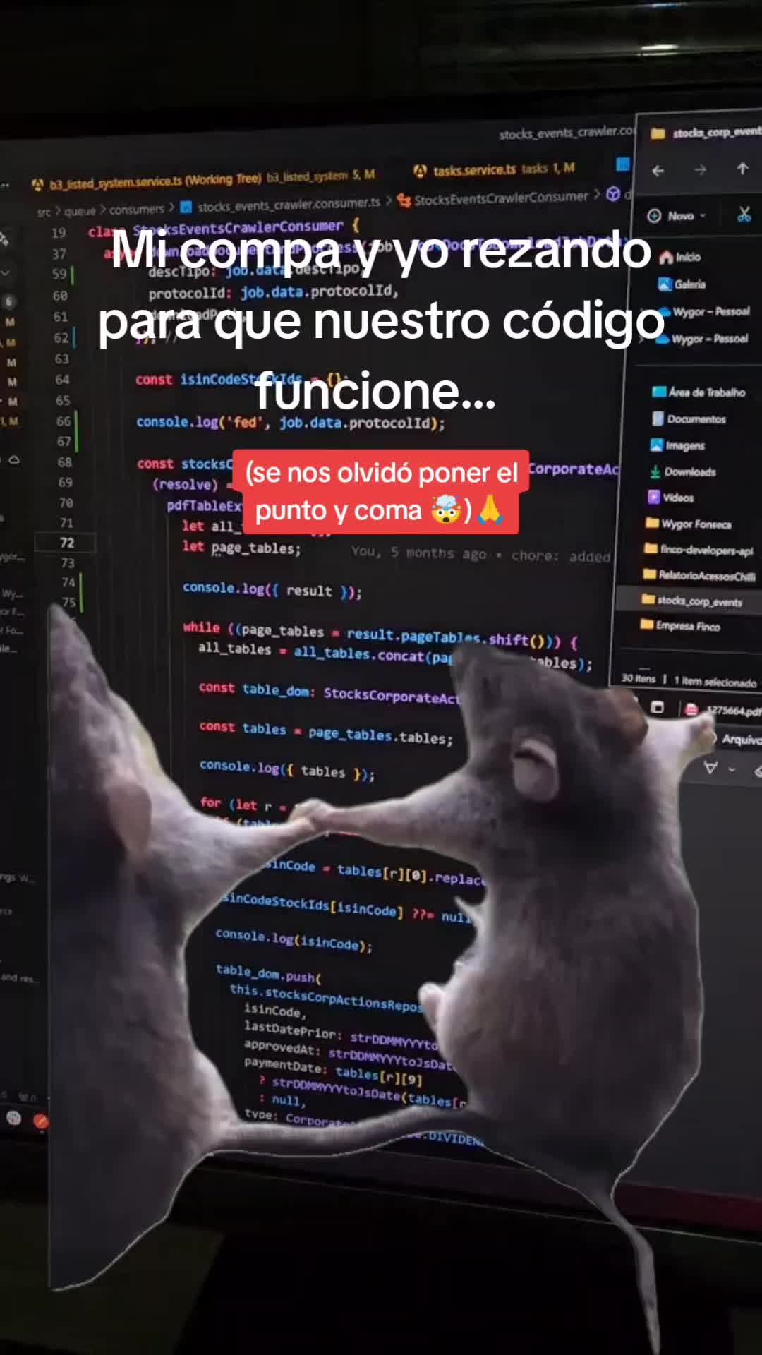 @evocodeteam