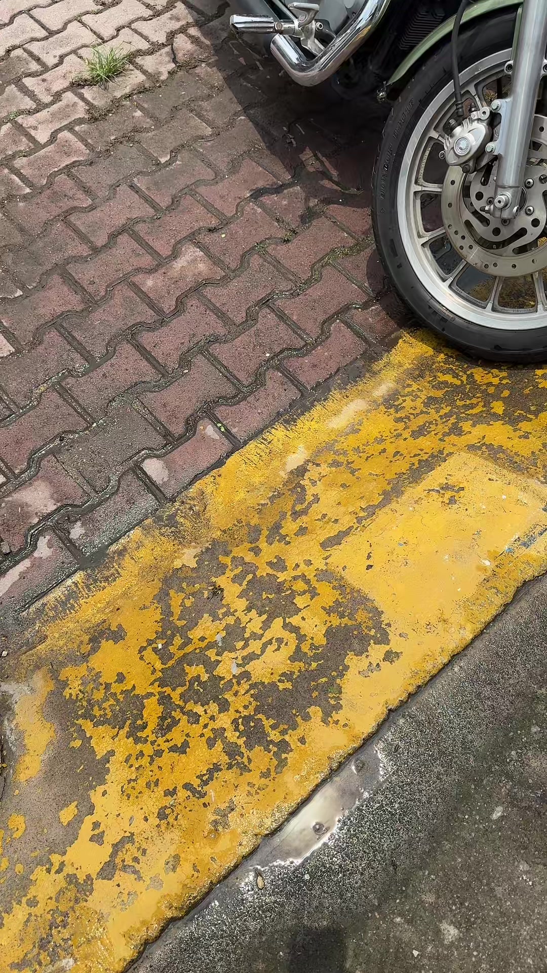 @Sárkány Piros