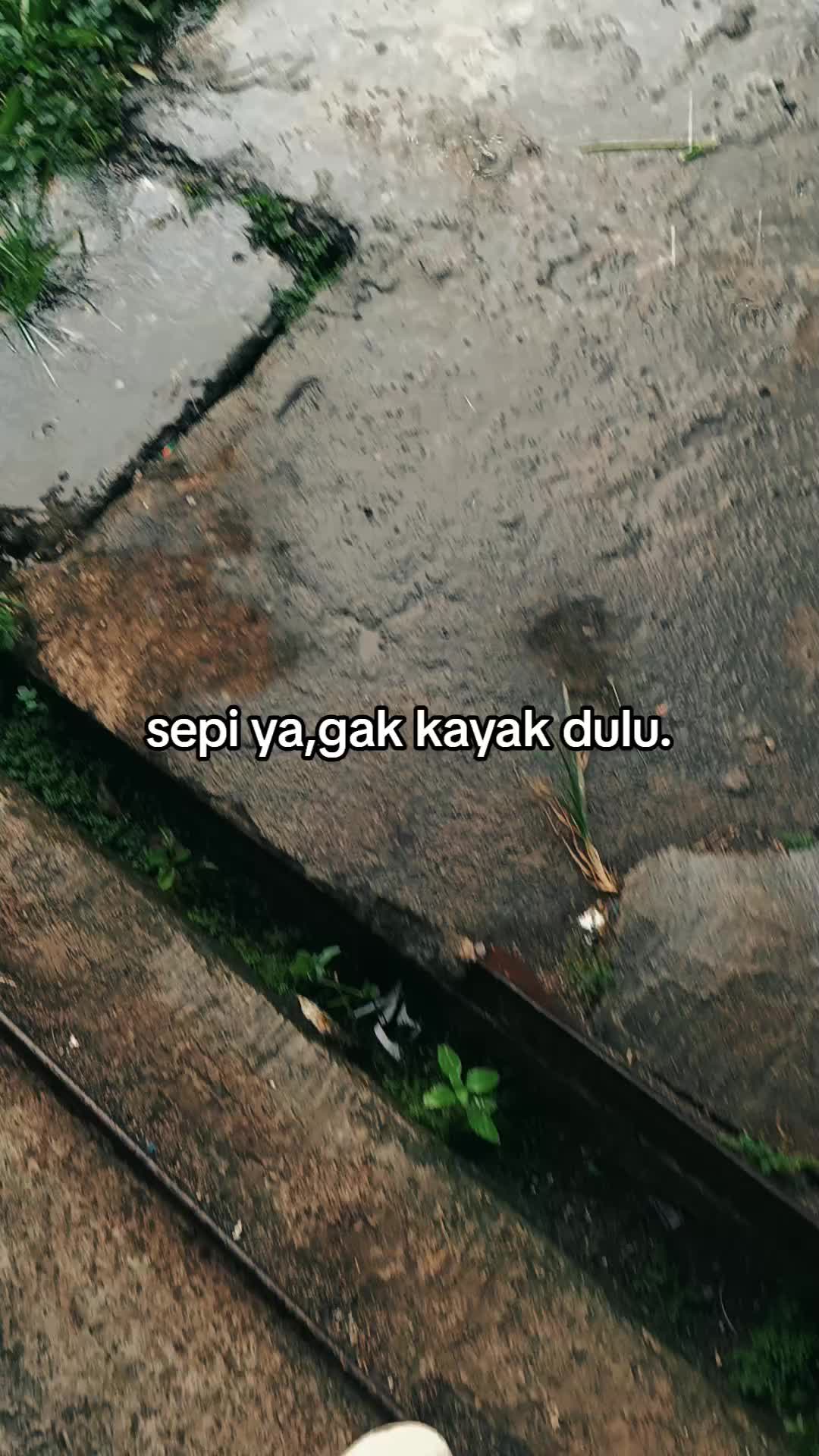 @shioooo