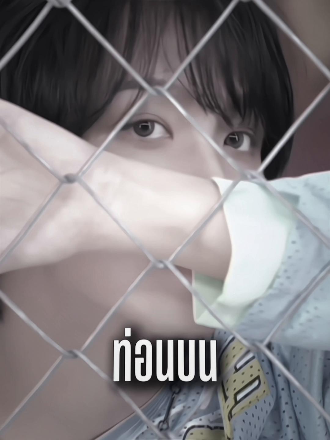 @sib
