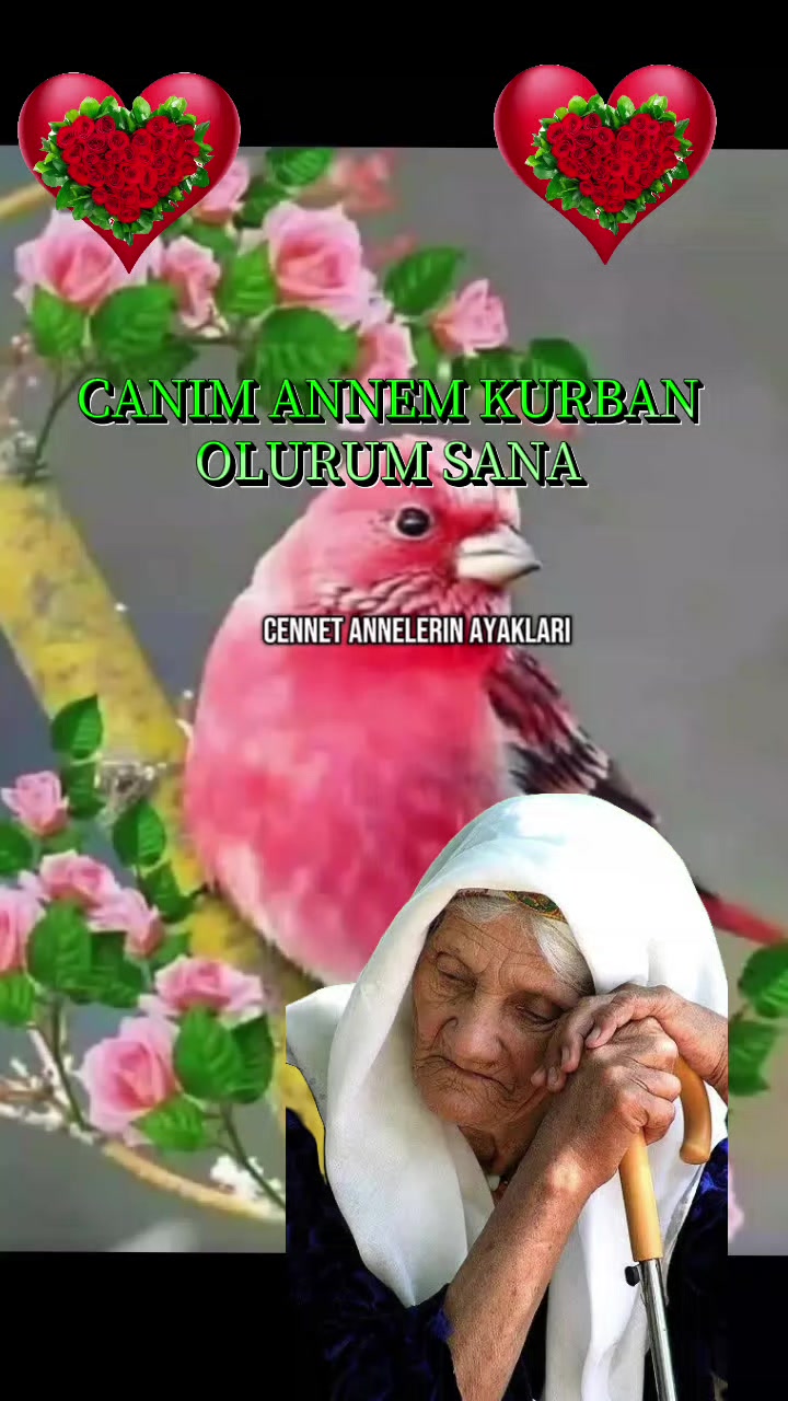 @🇹🇷҉͜͡✭DAMLA🦂GÜL🇦🇿҉͜͡✭