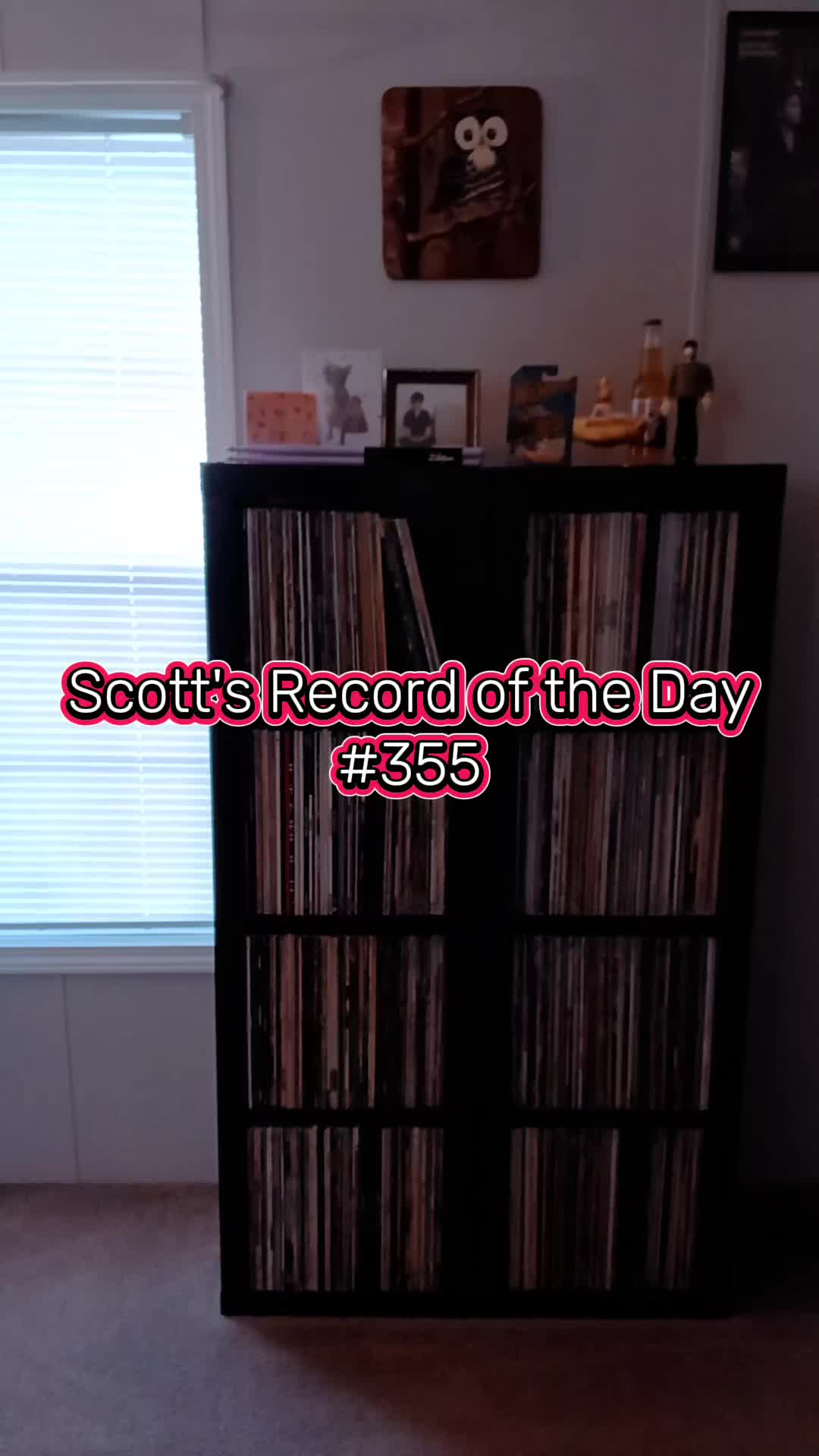 @Scott Reed ❌️