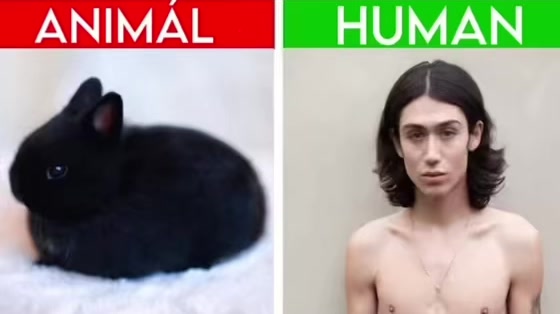 @๐ณ๐๐๐๐ข