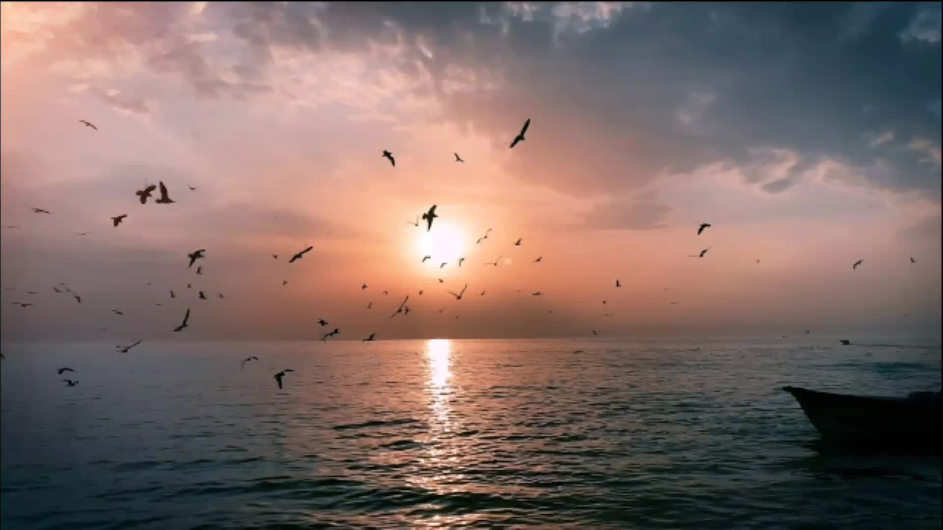 @مـحـمـد أبو خـمـيـس 𓆩⁸¹¹𓆪🔹