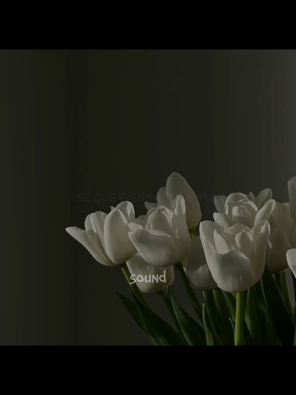 @sound