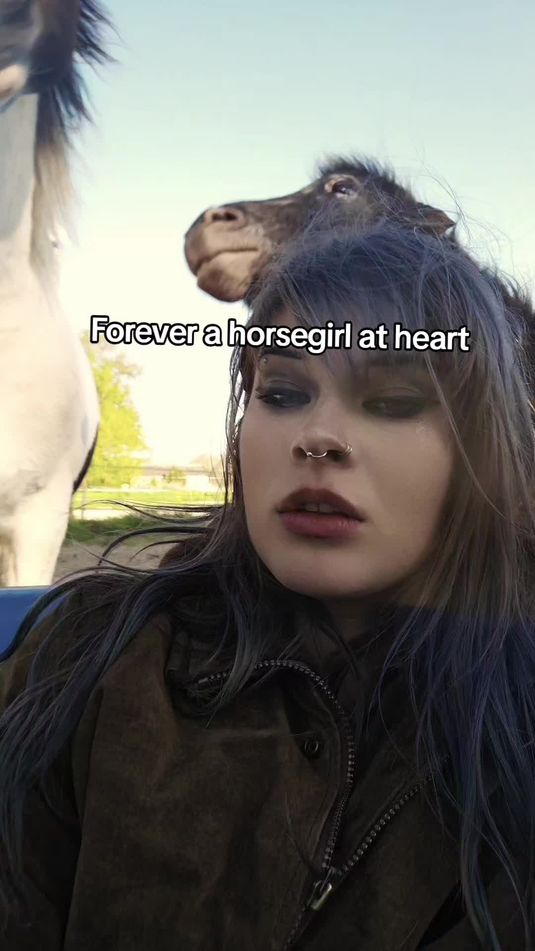 @Dino and horses