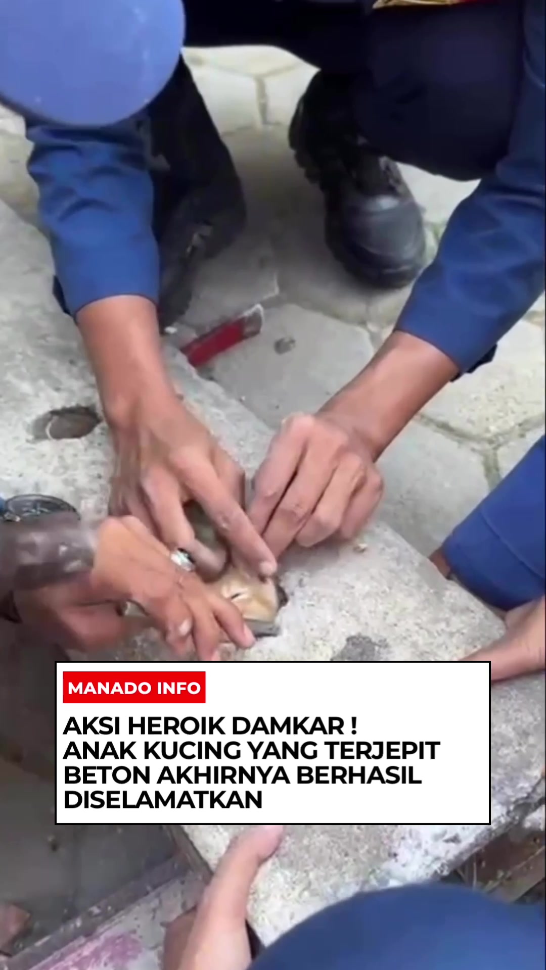 @MANADO INFO