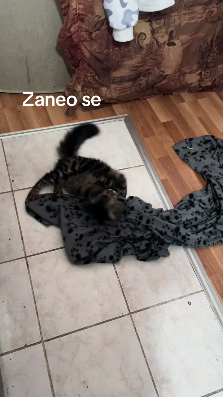 @Aleks🩵