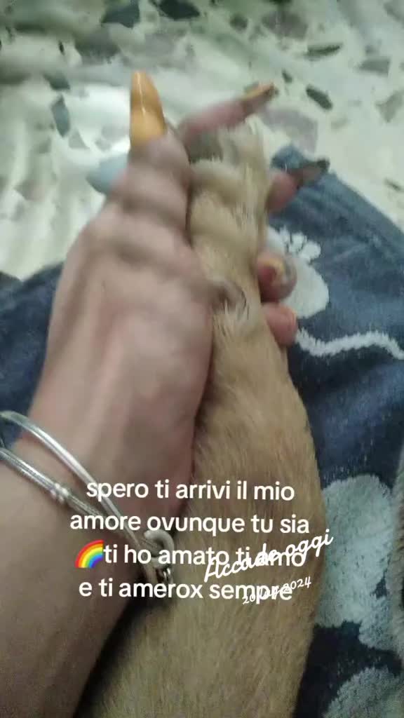 @Francesca Maietta