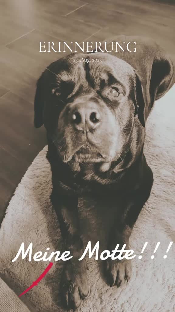 @Nicole❤️Schröder🖤Kowalski ❤️