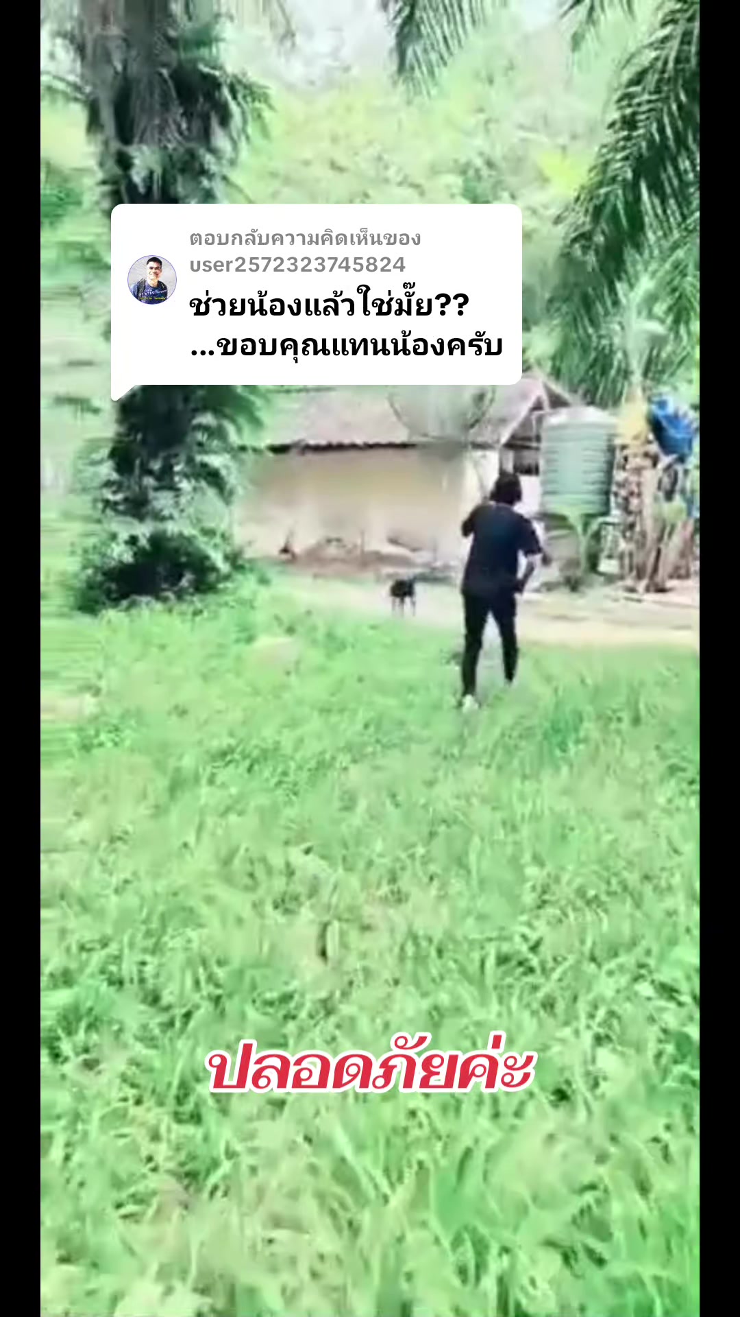 @Phim 1415