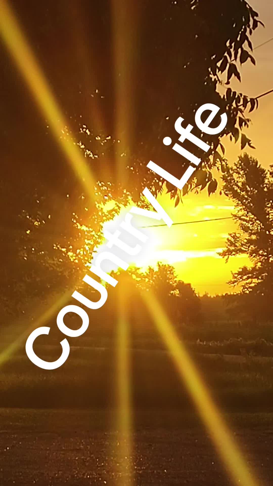 @BamaCountryBoy