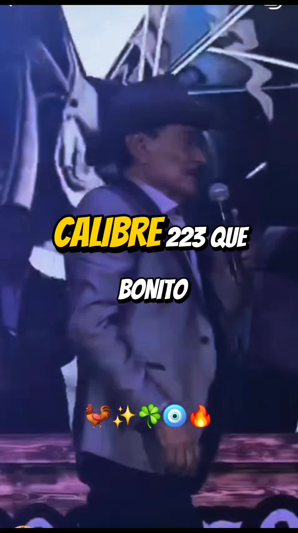 @Alejandro Cortez🐓