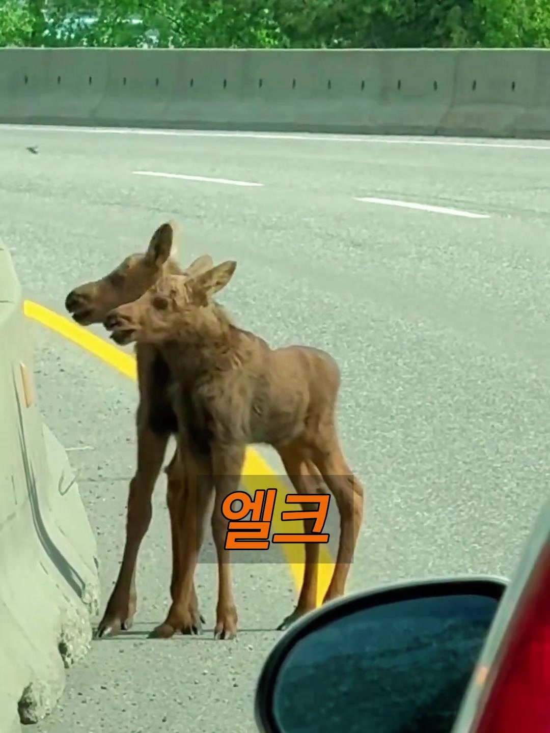 @삼촌Cut2025