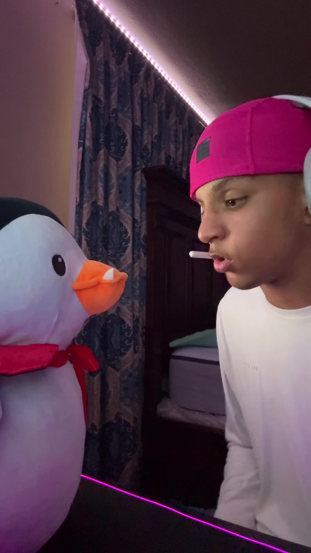 @Trippie_gaven