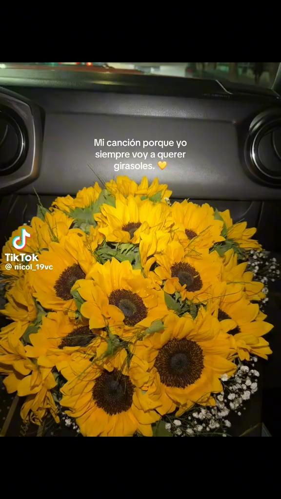 @vanessa 🌵🌻🍃