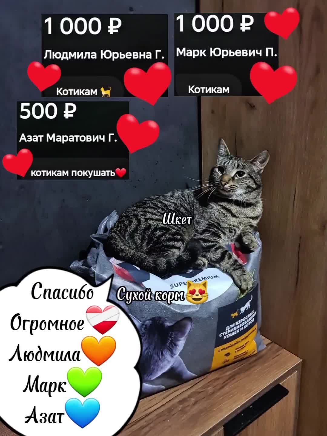 @Кошкин Дом