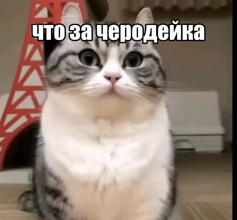 @Истории комару