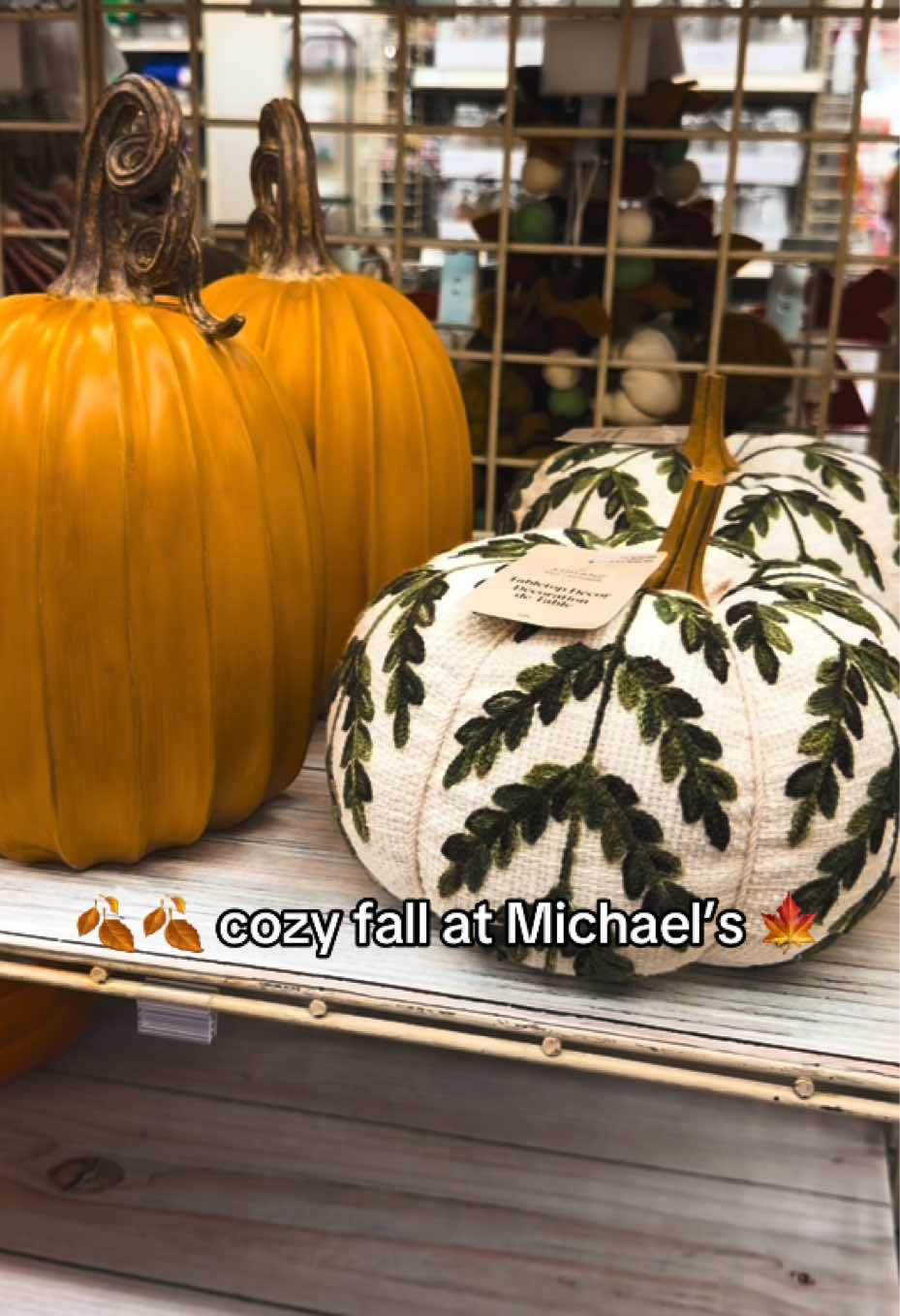 @AllHallowsWitchh (Michelle)