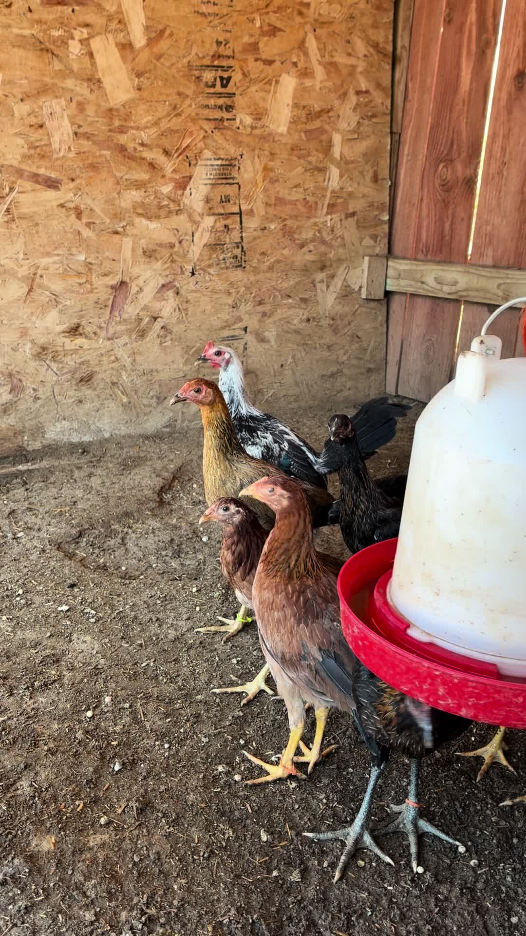 @A.MENDOZA.FARM.USA 74HWY