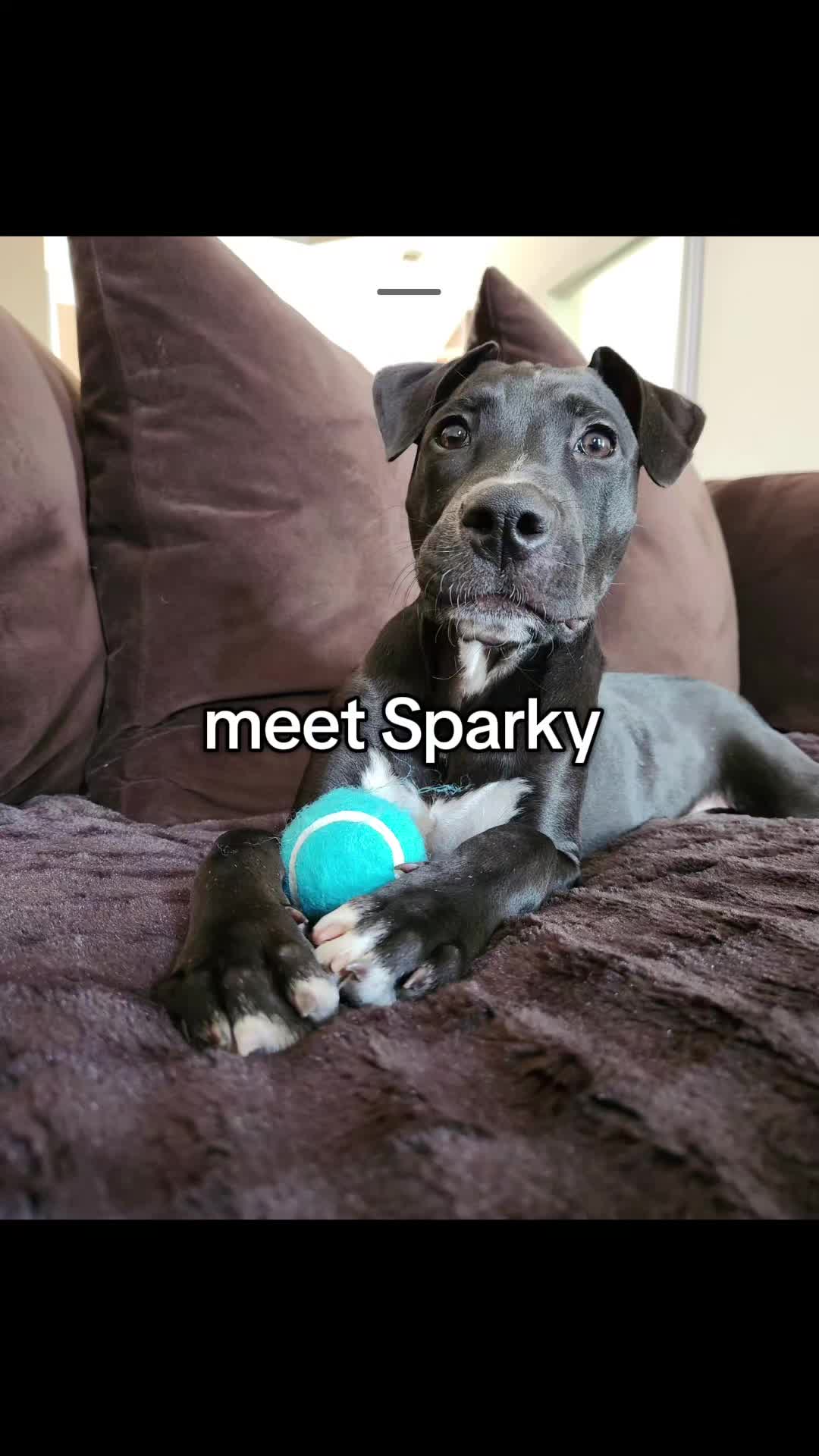 @AK