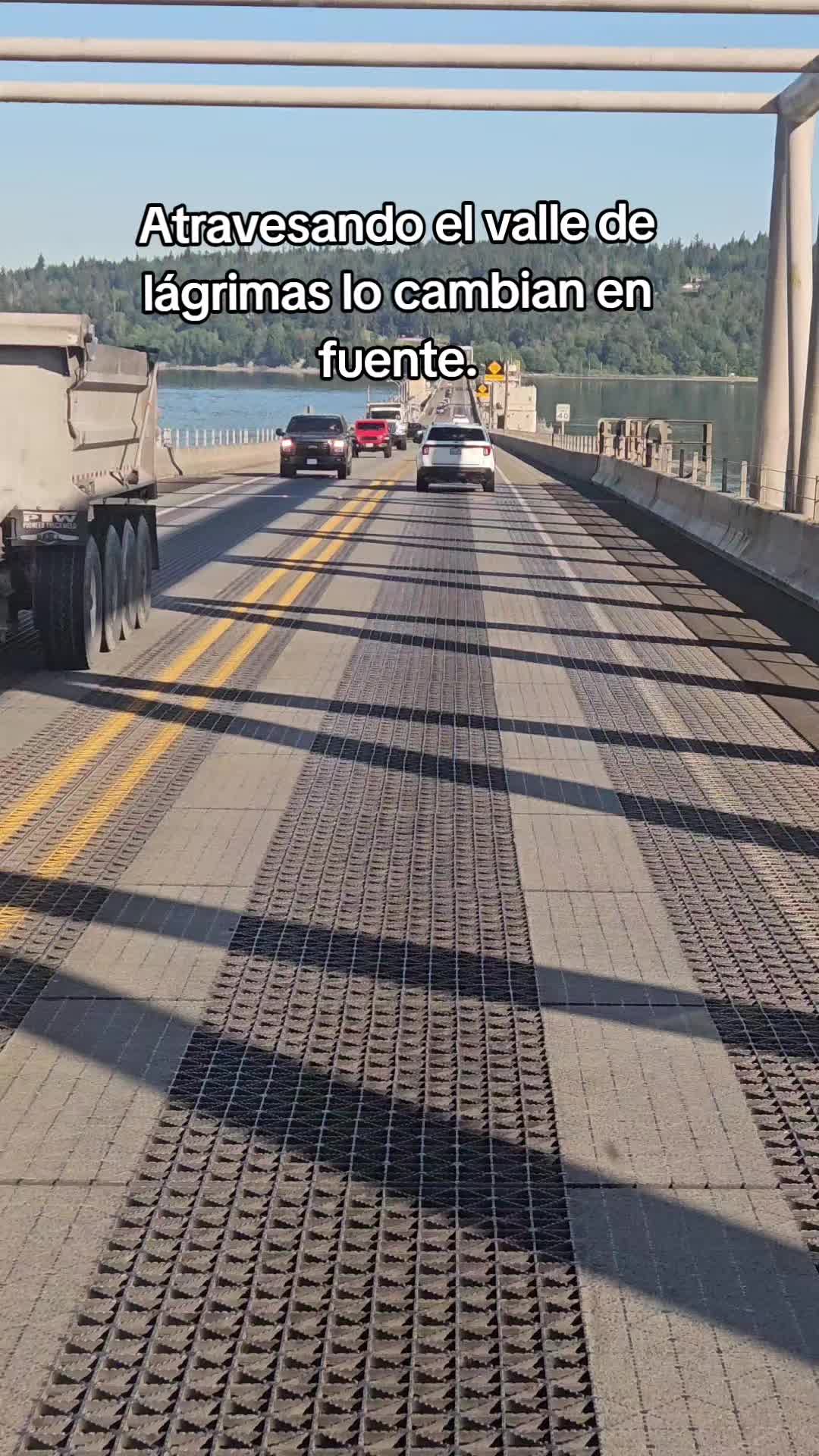 @manuelelvick🎶🕊