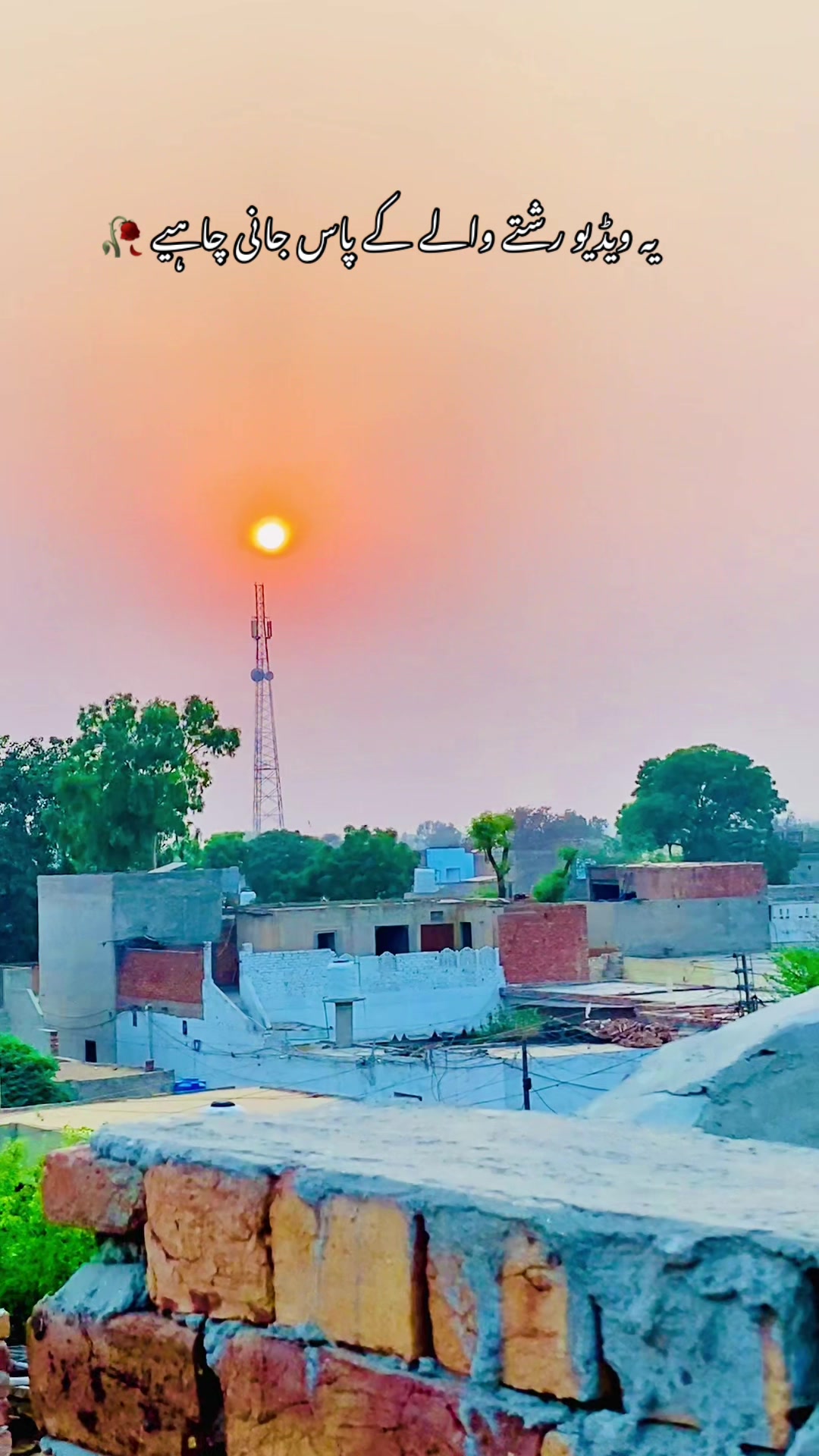 @🥀🌾 پنجابی کلچر 🥀🌾