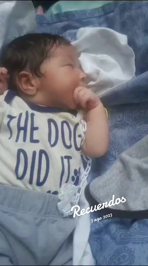 @taliadiaz