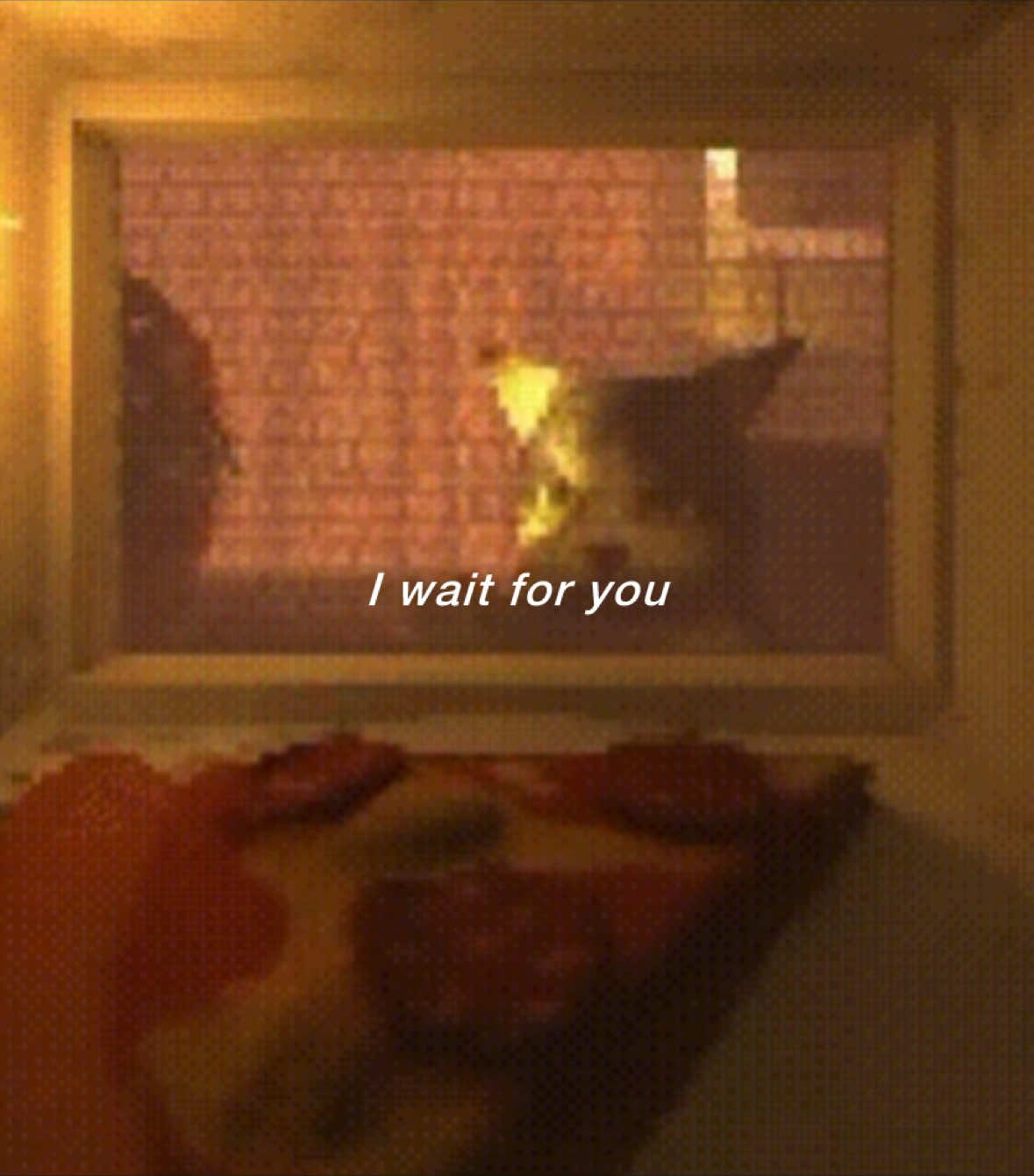 @vincenzo