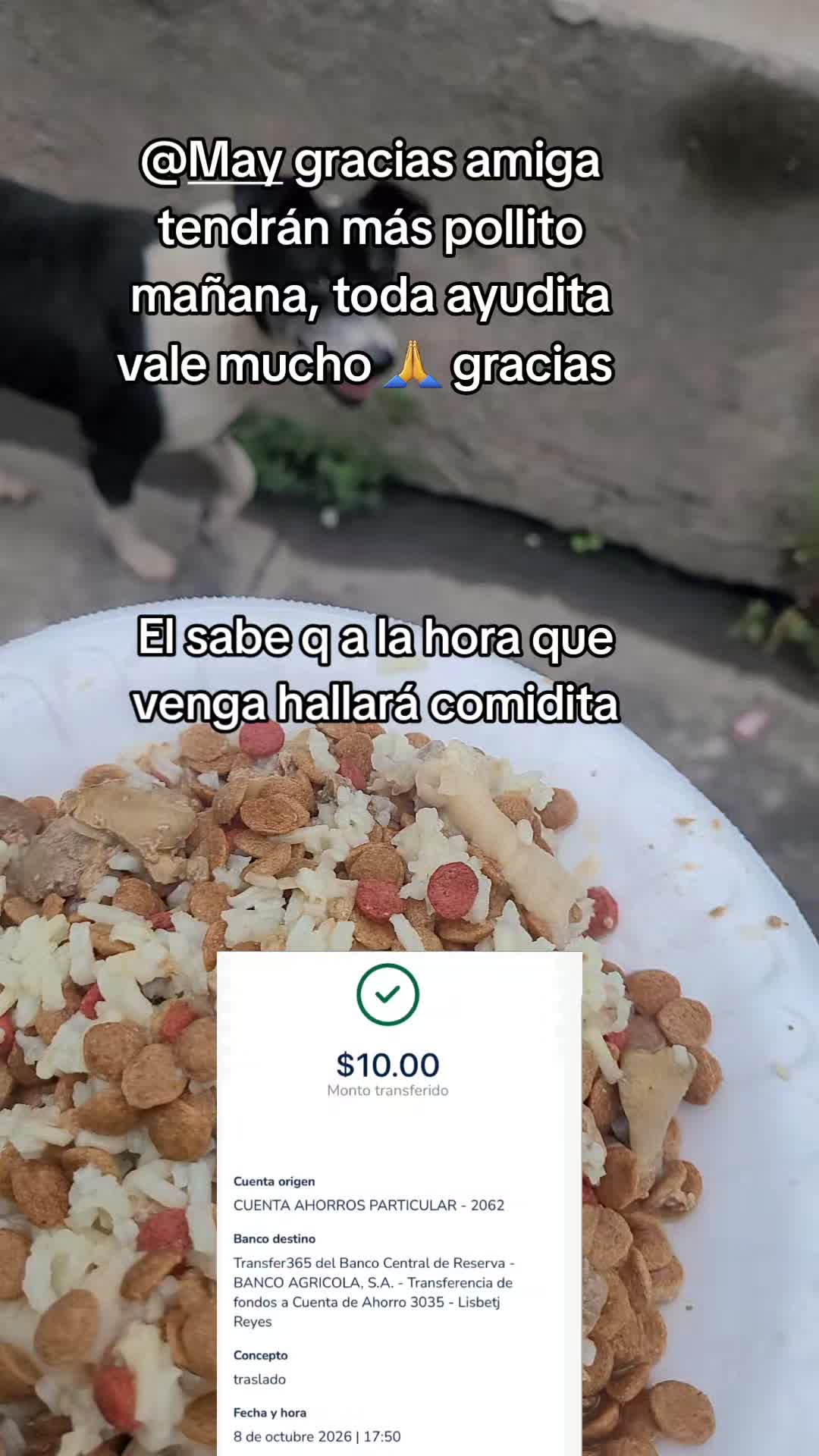 @𝕃𝕚𝕤𝕤 ℝ𝕖yes🇸🇻