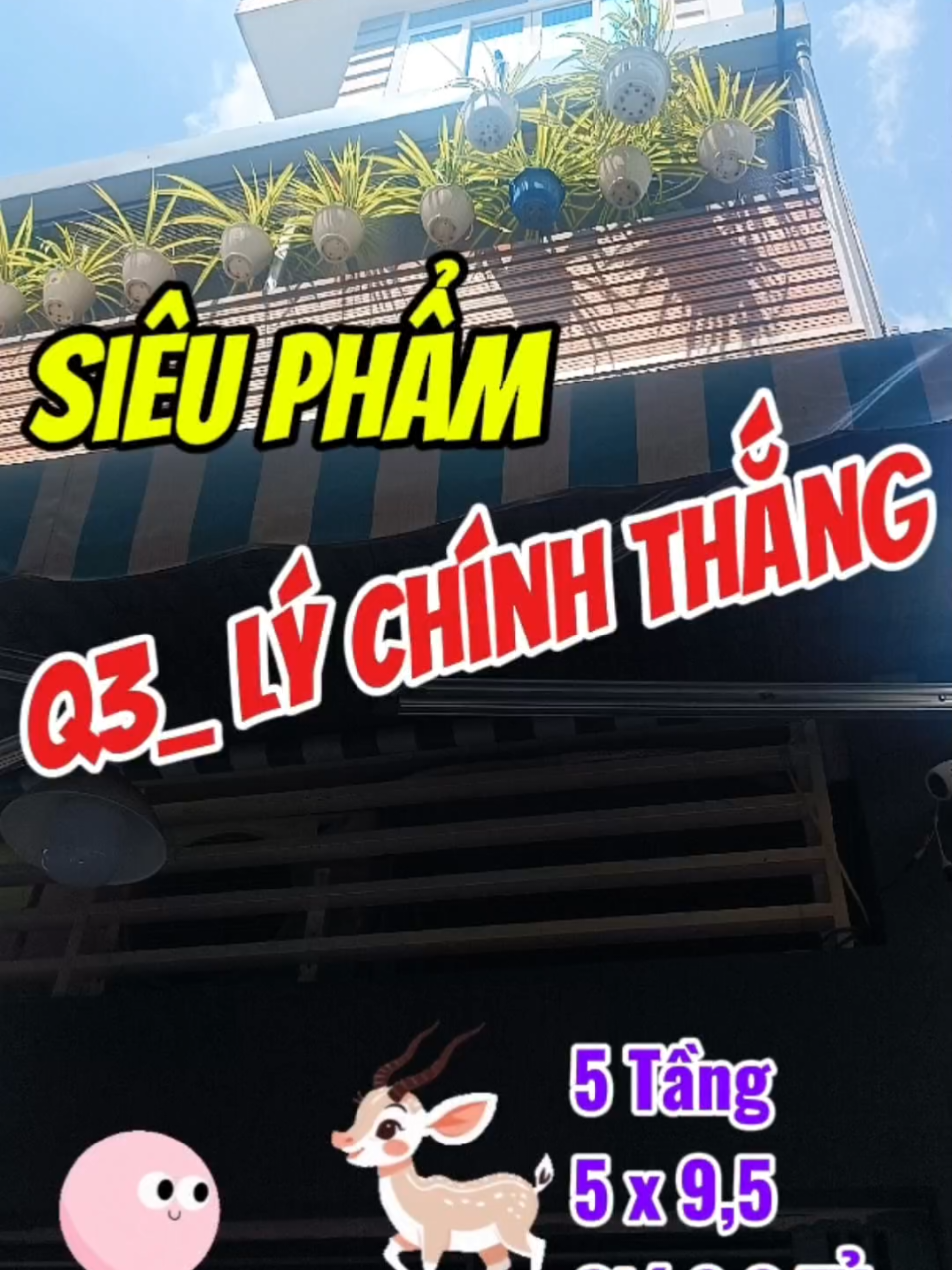 @60s Review Nhà