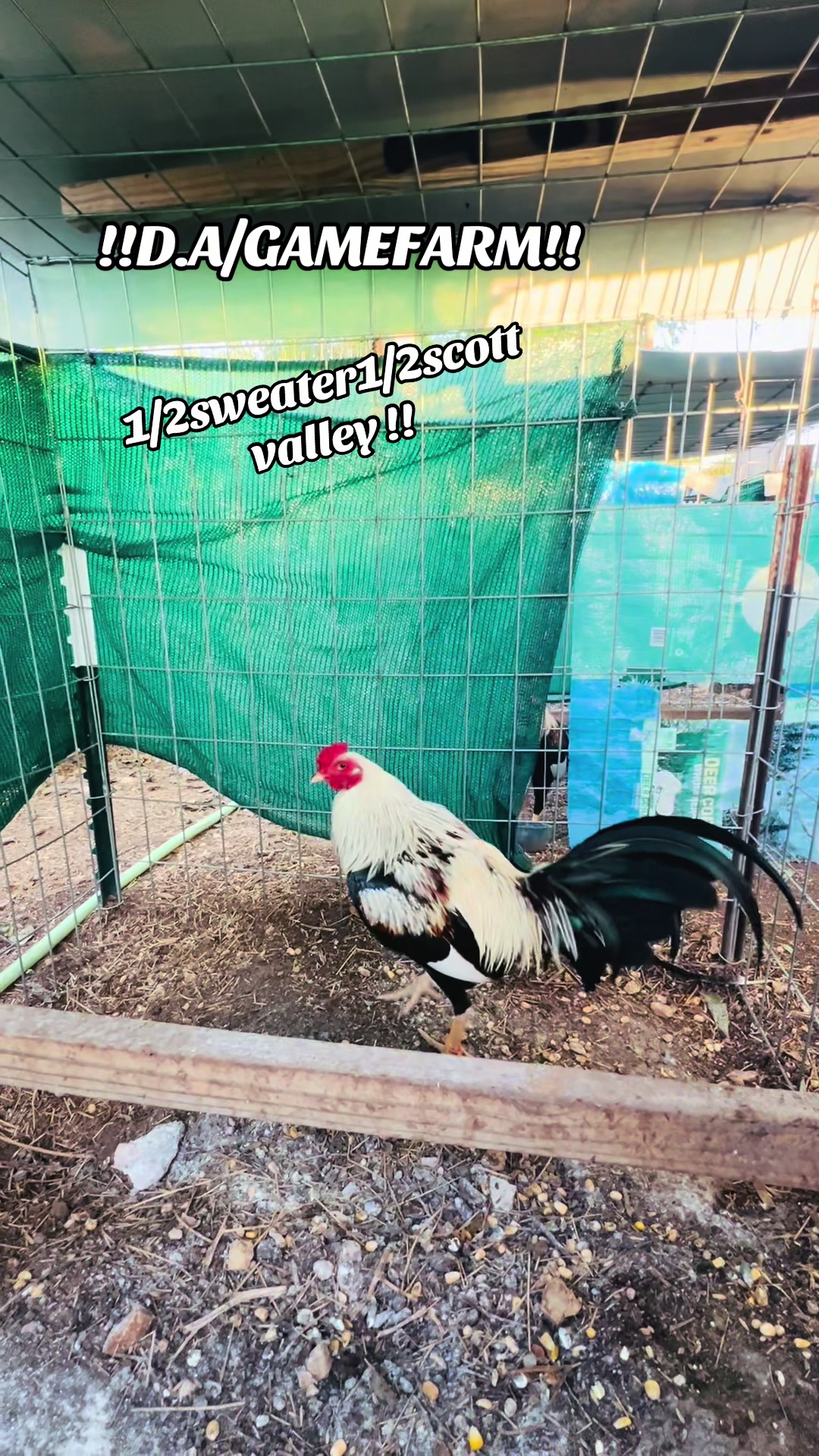 @DAgamefarm