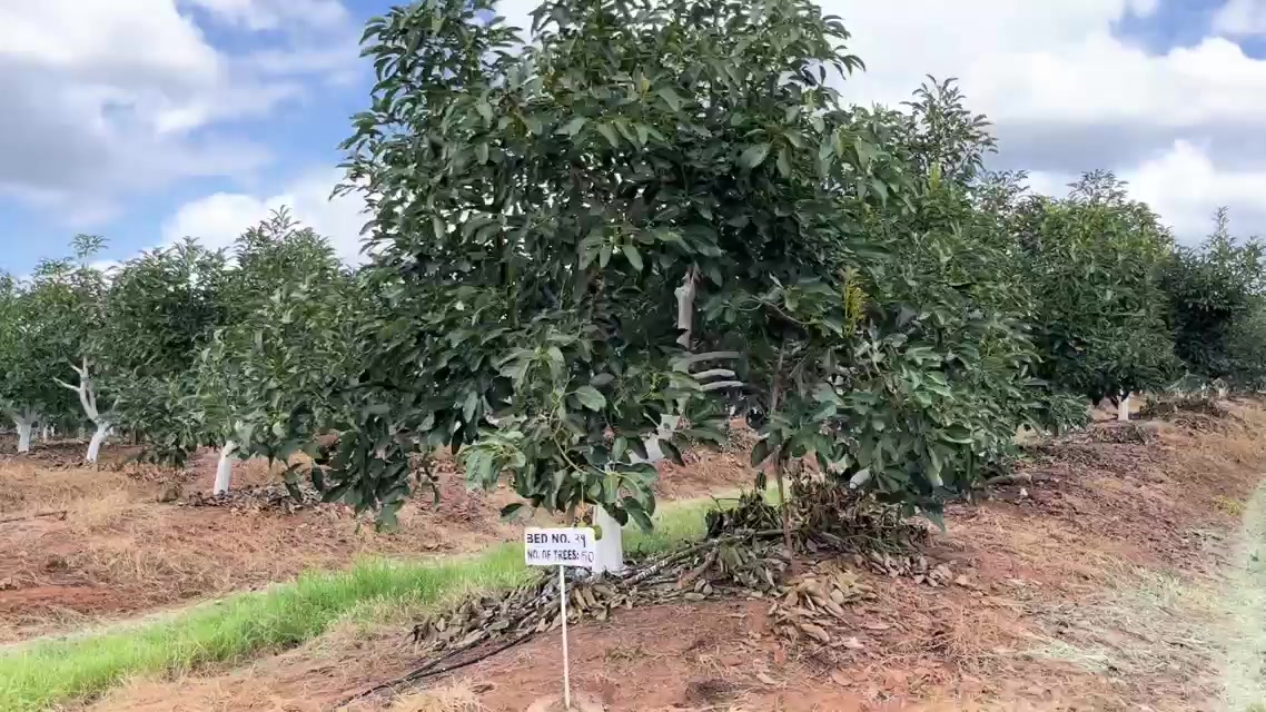 @FarmersTrend