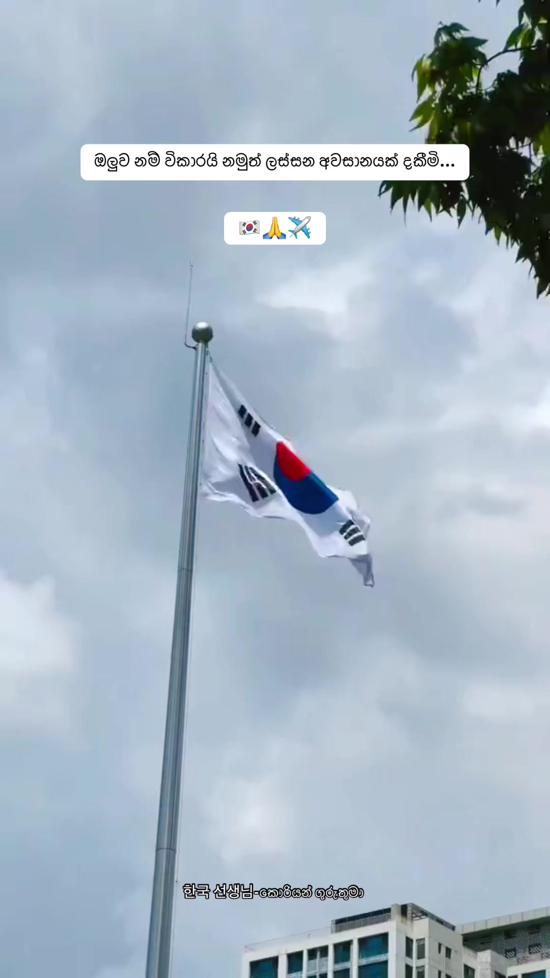 @한국 선생님 -කොරියන් ගුරුතුමා
